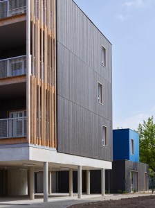 CF044767